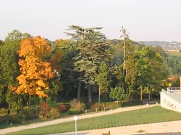 Vue de l'arboretum