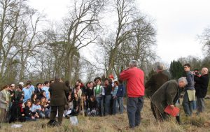 (Arbre de promotion en 2007)