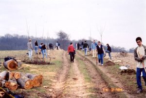 (1 arbre 1 élève dans l'allée verte en 2004)