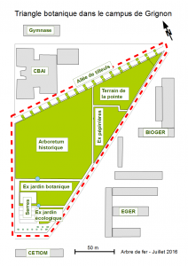 (Plan du triangle botanique)