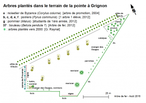 (Plantations dans le terrain de la pointe)