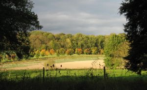 (vue du parc de Grignon)