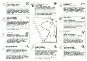 (plan du sentier de découverte dans l'arboretum de Grignon)