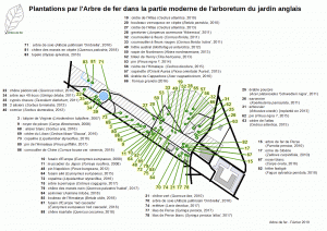 (Plan des plantations dans le jardin anglais)