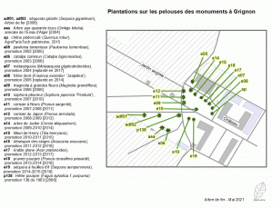 (Plan des plantations sur les pelouses aux monuments)