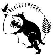 Logo Blairoudeurs