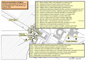 Plan des arbres de promotion
